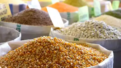 Güneydoğu'dan ABD'ye 133 Milyon Dolarlık Hububat İhracatı