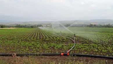 Tarımda Sulama Yatırımları Önde