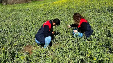 Trakya'da Don Olayı: Hasar Tespit Çalışmaları Başladı