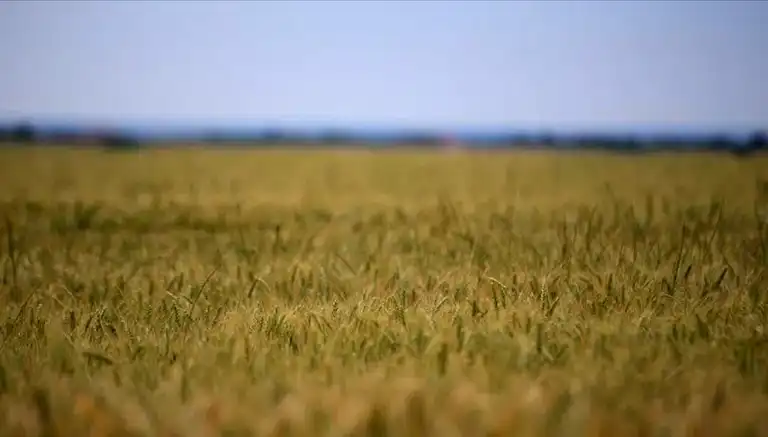 Tarım Girdi Maliyetleri Yükseliyor: Gıda Fiyatları Tehdit Altında